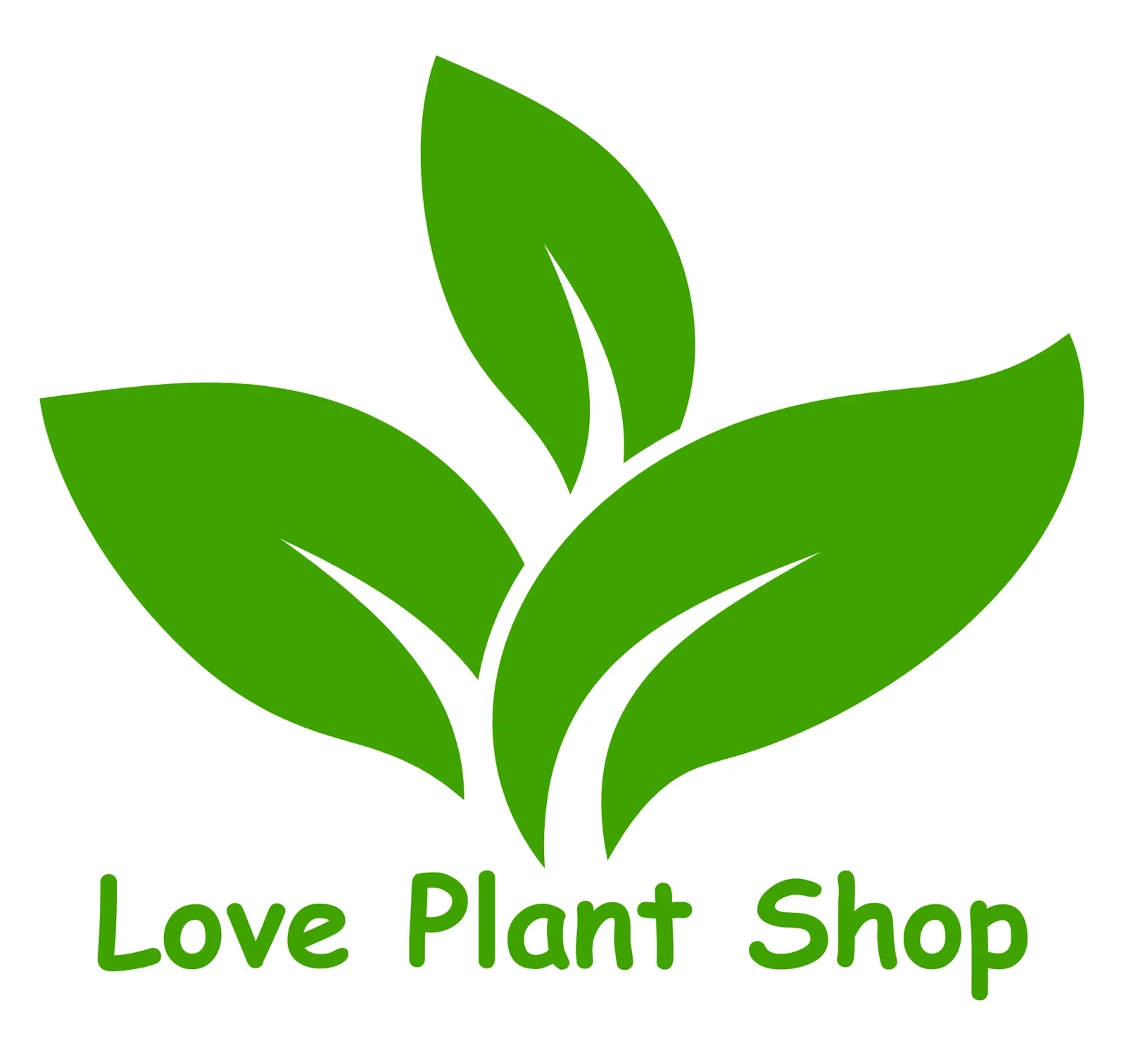 My Website